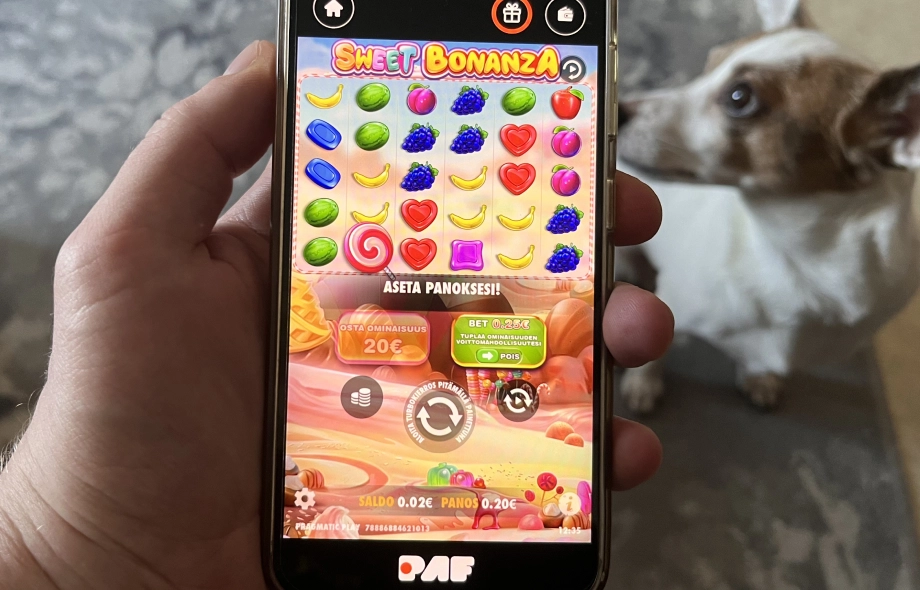 Kenellä on parhaat casinopelit?